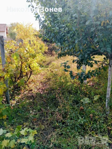 Имот за продажба в с.Шишковци обл.Кюстендил!, снимка 6 - Парцели - 56661667