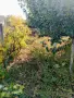 Имот за продажба в с.Шишковци обл.Кюстендил!, снимка 6
