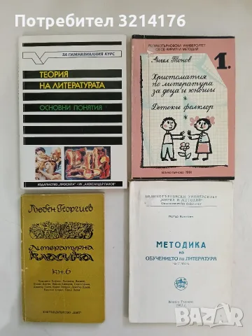 Теория на литературата. Основни понятия - Александър Панов (1996)