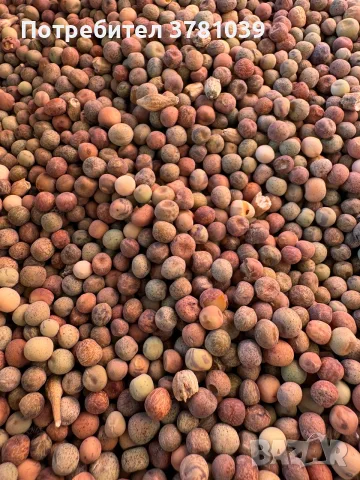 Продавам  грах  сорт Мир