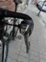 Шосеен Велосипед Specialized, снимка 9