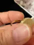 Златен пръстен кабала , снимка 4
