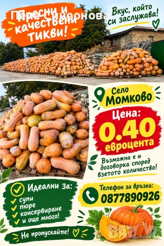 ПРОДАВА Тикви Цигулки