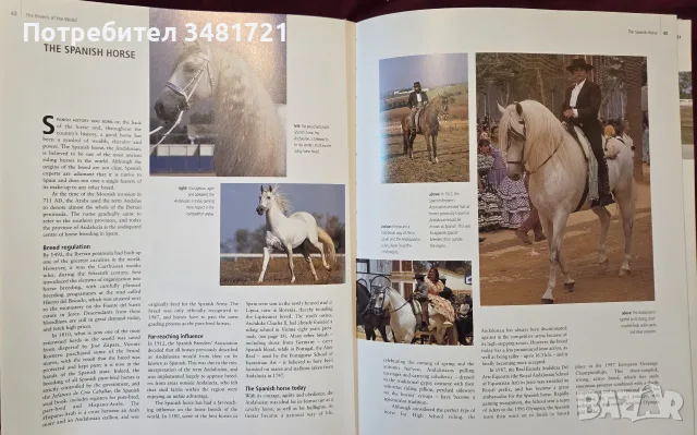 Encyclopedia of the Horse, снимка 8 - Други - 56715711