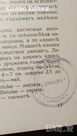 Нашите билки . 1941г., снимка 3 - Художествена литература - 56609737