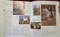 Encyclopedia of the Horse, снимка 8