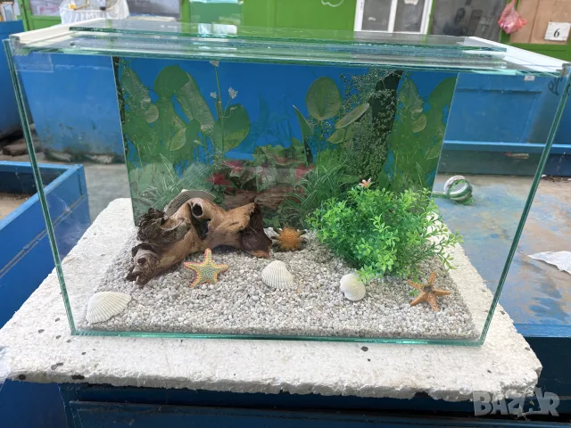 Продавам аксесоари,аквариуми,рибки, снимка 18 - Аквариуми - 56556909