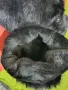 Ботуши от косъм, снимка 4