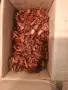 продавам сушени домати , снимка 4