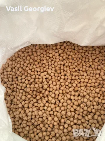 продавам нахут почистен