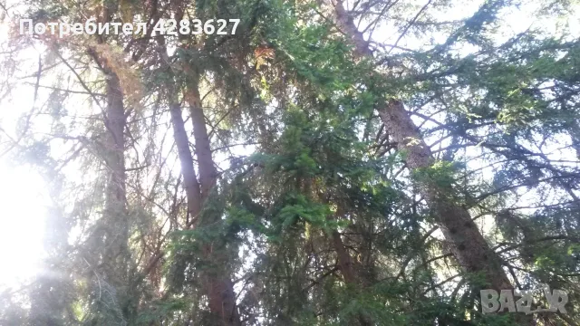 Апартамент Панагюрски Колонии