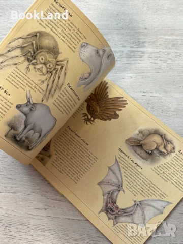 Великани | Тайните истории на професор Ари Бърк , снимка 7 - Детски книжки - 56608154
