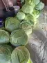 Продавам зеле кьосе, снимка 1