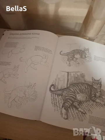 Книга за рисуване , снимка 2 - Специализирана литература - 56555138