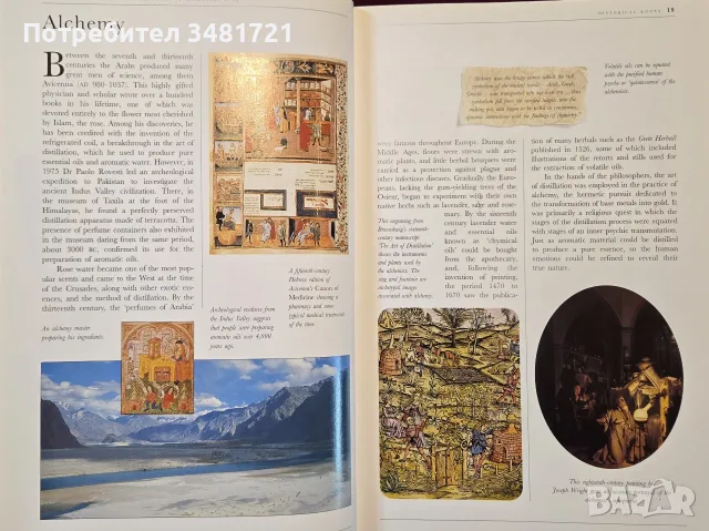 The Illustrated Encyclopedia of Essential Oils, снимка 4 - Здраве, медицина и спорт - 56715727