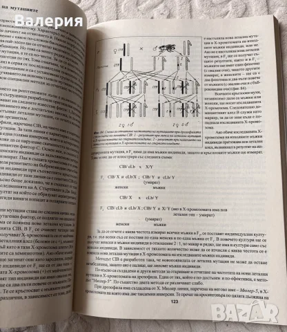 Обща генетика ПУ, снимка 2 - Учебници, учебни тетрадки - 56647342