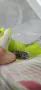 Детски Бутонки Adidas F50N35, снимка 5