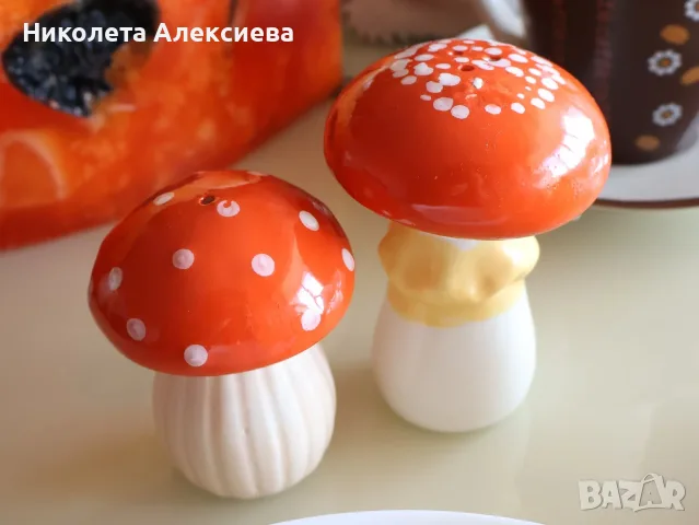 Солници Гъби 🍄 🍄 