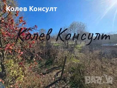 Къща село Момково, снимка 11 - Къщи - 56592469