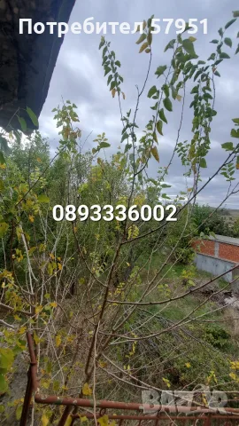 Къща с. Целина, обл. Ст. Загора, снимка 9 - Къщи - 56730255