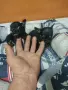 продавам чихопинпери , снимка 2