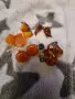 кехлибар. брошка. копчета от кехлибар.amber., снимка 4