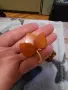 кехлибар. брошка. копчета от кехлибар.amber., снимка 8