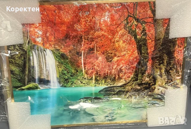 Картина 30/40 за Дома, снимка 2 - Картини - 56686501