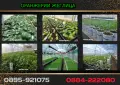 КАТАЛОГ РАЗСАДИ, ПРОЛЕТ–ЛЯТО 2027, снимка 2