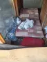 Кученца английски сетер, снимка 3