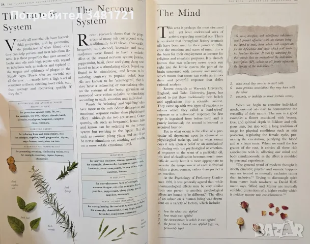The Illustrated Encyclopedia of Essential Oils, снимка 5 - Здраве, медицина и спорт - 56715727