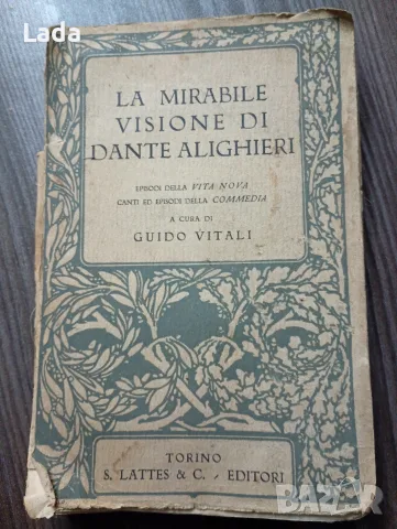  La mirabile visione di Dante Alighiсheri