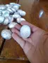 Стари форми за сладки Орехчета, снимка 3