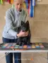 Шиперке / Schipperke, снимка 2
