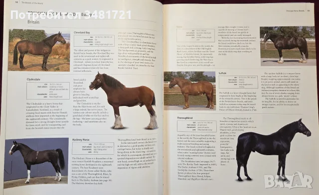Encyclopedia of the Horse, снимка 9 - Други - 56715711