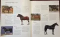 Encyclopedia of the Horse, снимка 9
