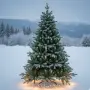 Елха с естествено излъчване , снимка 1