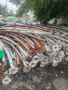 Дъговидно холандско хале 390 квадрата, снимка 1