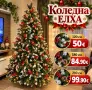 Елха с глог и шишарки, снимка 2