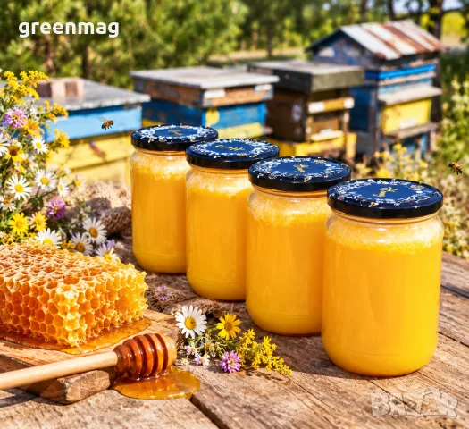 Чист Пчелен Мед от GOLDEN BEE FARM., снимка 2 - Пчелни продукти - 23435230
