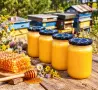 Чист Пчелен Мед от GOLDEN BEE FARM., снимка 2