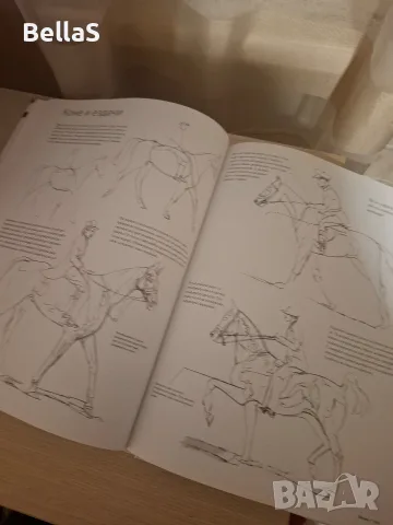 Книга за рисуване , снимка 3 - Специализирана литература - 56555138