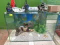 Продавам аксесоари,аквариуми,рибки, снимка 3
