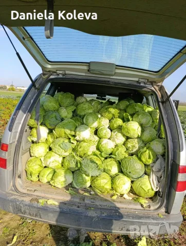 Продавам    зеле, снимка 4 - Други - 56637469