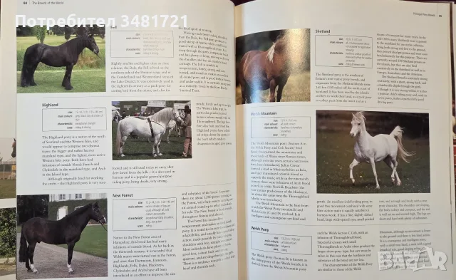 Encyclopedia of the Horse, снимка 12 - Други - 56715711