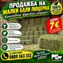 Малки Бали люцерна, снимка 1