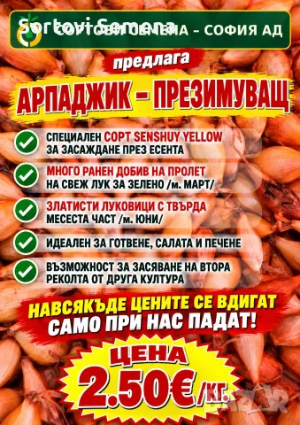 АРПАДЖИК – ПРЕЗИМУВАЩ - внос Нидерландия