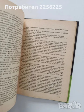 Светлина над Родопите, снимка 2 - Художествена литература - 56654699