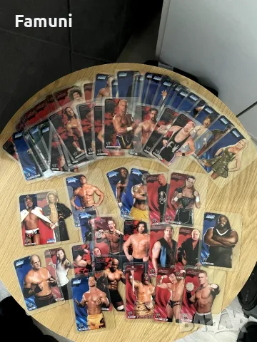Ретро пластмасови кеч карти WWE Edibas Lamincards (2004) 79 бр. с ВСИЧКИ ТОП звезди