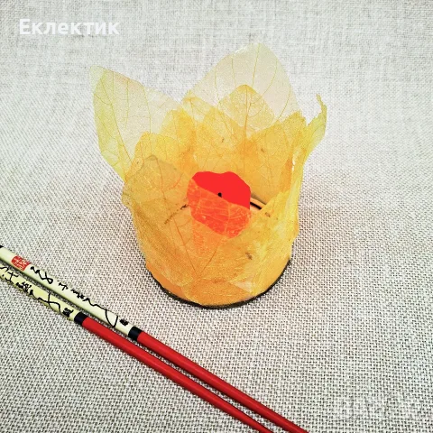 Фенер със скелетни листа
